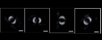 A team of physicists from the School of Physics and Astronomy at the University of Glasgow has captured an image of Bell entanglement, a strong form of quantum entanglement (2019).