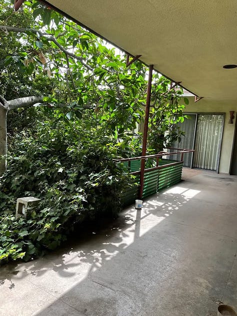 2040 Rodney Avenue, a midcentury modern apartment complex that has been empty for years and is suffering from deferred maintenance (mold, stucco damage, peeling paint, a long-empty pool, cracked concrete, rust stains, etc.).