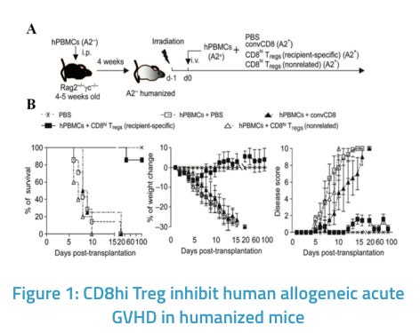 Regulatory T Cell Therapy for Immune-related Diseases