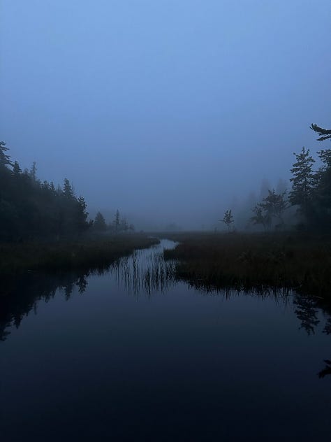 Acadia National Park