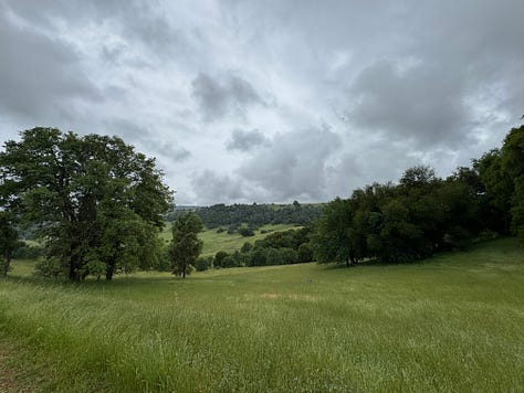 Rainy day hike