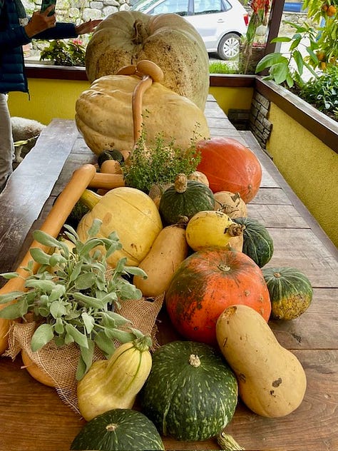 Top L to R: Walking from Carate Urio to Laglio on the Via Verde (Green way) to have aperitivo at Bottega da Luciano, polpette/mozzarella/patate al forno, never to chilly for gorgeous stivalli, tomino/speck/roasted eggplant, the next day at Agriturismo Barcola, squash-fest, small dog vs. giant pumpkin, a Lamborghini tractor