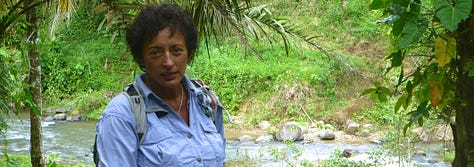 Ecuadorian rainforest with shamans