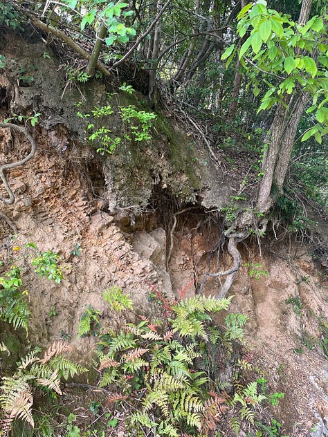 Mountain scenes near Amanohashidate