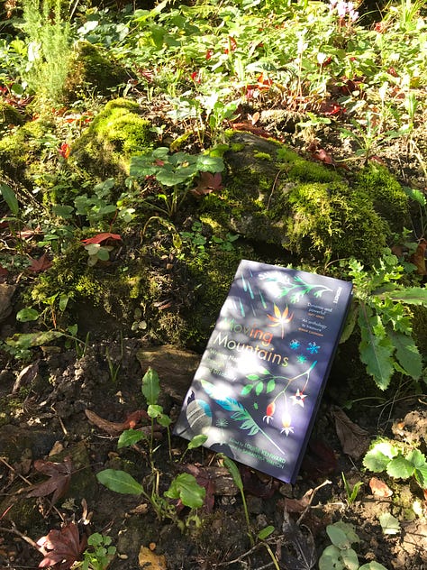 eight images of Moving Mountains book in different spots around the gardens, with shadows cast across the cover and autumnal colours of trees and bracken and mosses.