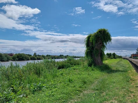 Maybe the spirit of the old ferryman lingers in the pollarded willow.