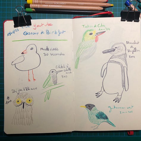 Photos des doubles pages de mon sketchbook où j’ai dessiné les oiseaux aux crayons de couleurs, crayon graphite et parfois un peu de marqueurs aquarelle. A côté de chaque dessin est noté le nom de l’oiseau et le temps consacré au dessin.