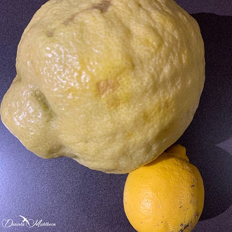 Citron compared to a lemon