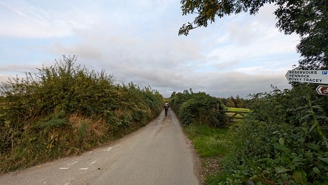 photos of narrow rural lanes in Devon