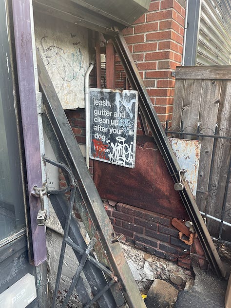 cellar sign, volunteer pumpkin, heart doors