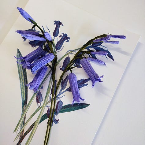 Pictures of wild rose and bluebell Craftkits showing the completed paper flowers