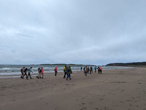 anglesey tour of lighthouses and beaches