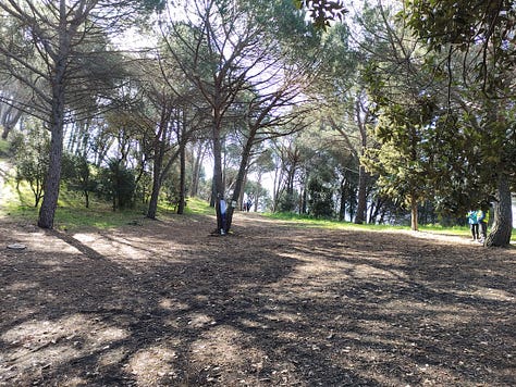 Views from the course, showing a sea view, some shaded and some open and sunny paths covered in pine needles