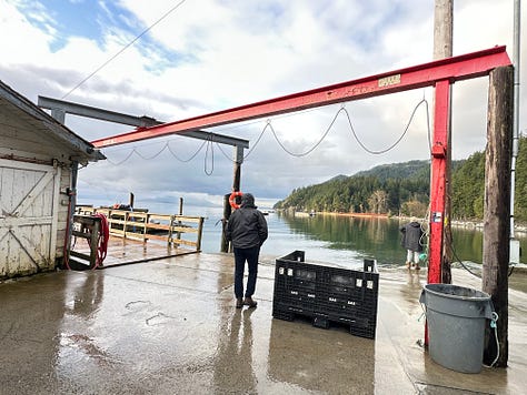 Scenes at a shellfish market