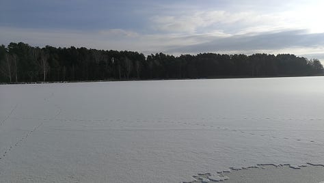 Frozen lakes and fields, and a snow-covered pedestrian bridge, hiking through the Spreewald in winter.