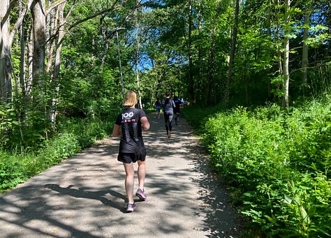 Tree-lined paths