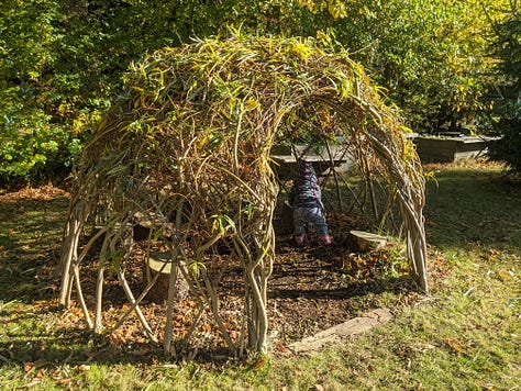 A community garden featuring bee & bee (bug hotel), vegetable patches, willow structures and signage listing information for volunteers and visitors 