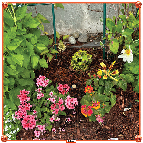 Photos of the planters and bird feeders in front of the apartment. Savory bread pudding. Hurricane season. India wins the T20 Cricket World Cup. 