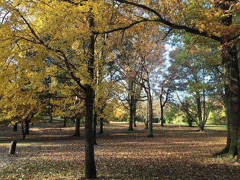 A tree with red apples, a cup of tea and crystals, a leather journal and pen, gabrielle a white skinned woman wearing a ywllow dress, Ava a brownskinned woman wearing a black tshirt, a hill with yellow trees and fallen leaves