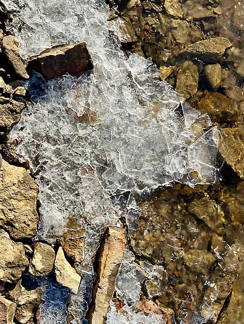 Ice and leaves on icy water