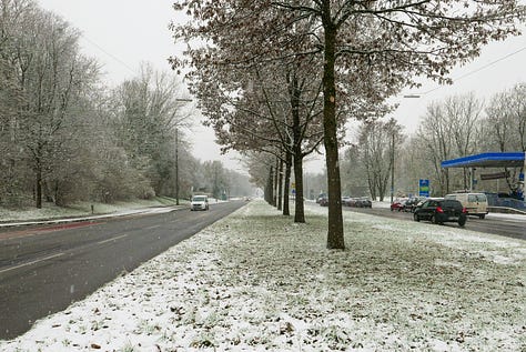 Snowy photos showing paths through an old cemetery and a wide, hostile looking ring road.