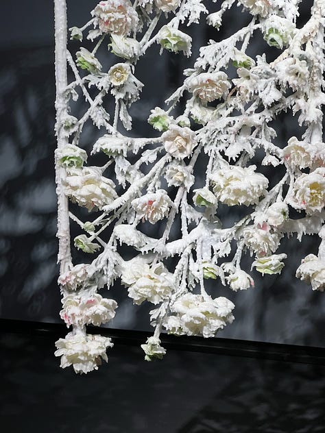 Wax sculpture of white flowers. Georgia O'Keefe painting of pears in a basket made with charcoal on paper. A drawing made to look like crochet made with soft ground etchings on paper.