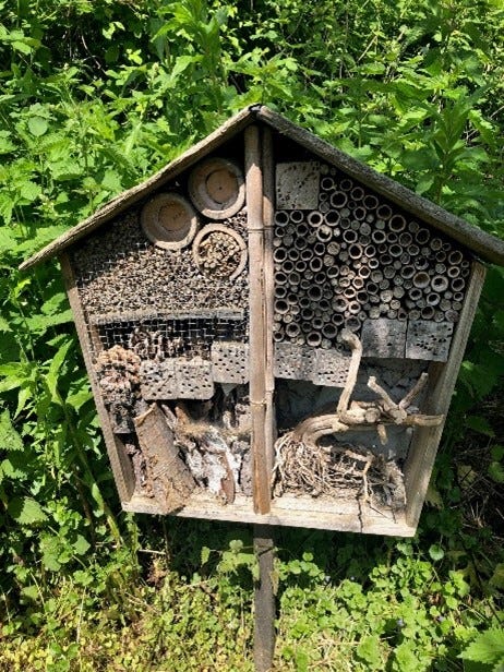 images of a community garden