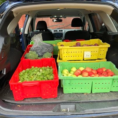 Images of gleaning healthy and fresh food for the people to address hunger insecurity