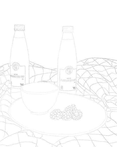 Travaux préparatoires, détails et dessin terminé de l'illustration pour la sortie des bouteilles de nectar de framboise bio : deux bouteilles sur une nappe de pique nique, à coté d'une assiette dans laquelle restent quelques framboises.