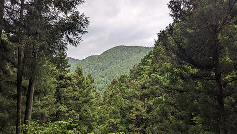 Mt. Takao 2024