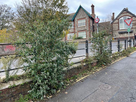 Trees, hedges, and plants on roads and at stations