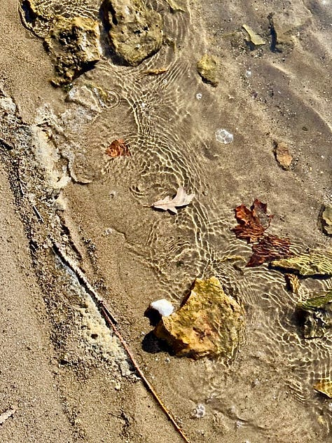 Ice and leaves on icy water