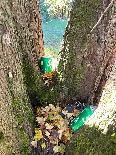Series of 6 images described in text above: blue faery door, lamp in tree close up with mushroom, lamp in tree from far away with full tree, Sprite cans in crook of tree, key hanging from a string, painted rock wedged in tree bark with words "If it doesn't open, it's not your door" and a blue door
