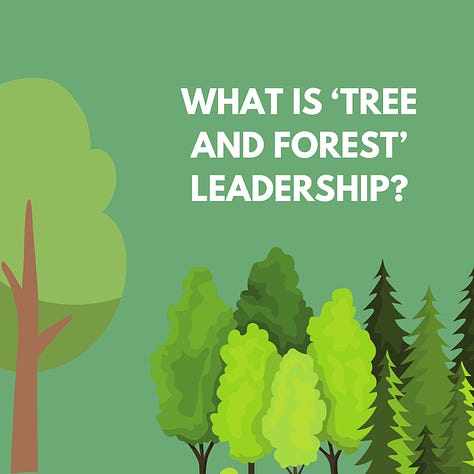 What is tree and forest leadership? How to keep meetings productive. Conflict at work: can it be a good thing? 