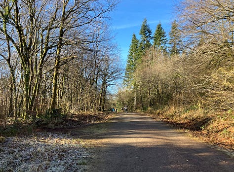Wide stony paths heading upwards, with a bright blue sky above