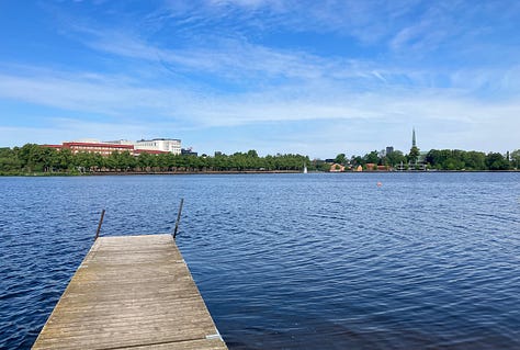 Pier, ducks and a dragonfly by the lake