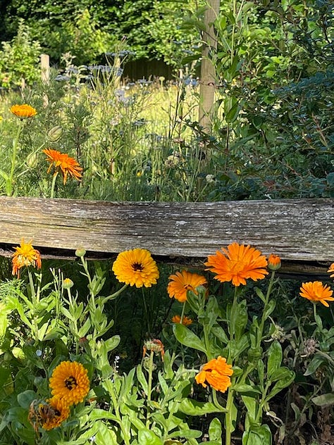 Nine images showing the outside seating area of The Small Holding with images of crops growing in the vegetable garden