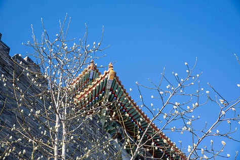 The Forbidden City blanketed in snow under a blue sky