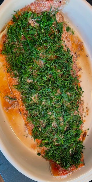 Salmon getting cured to make gravlax