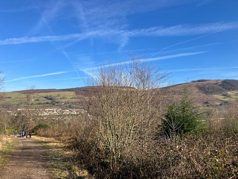 Looking down the hill at bare trees under a blue sky crossed with contrails