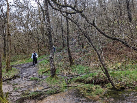 Guided walk of the Brecon Beacons waterfalls with Wales Outdoors