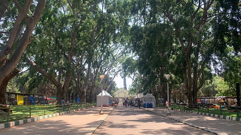 Mango market scenes