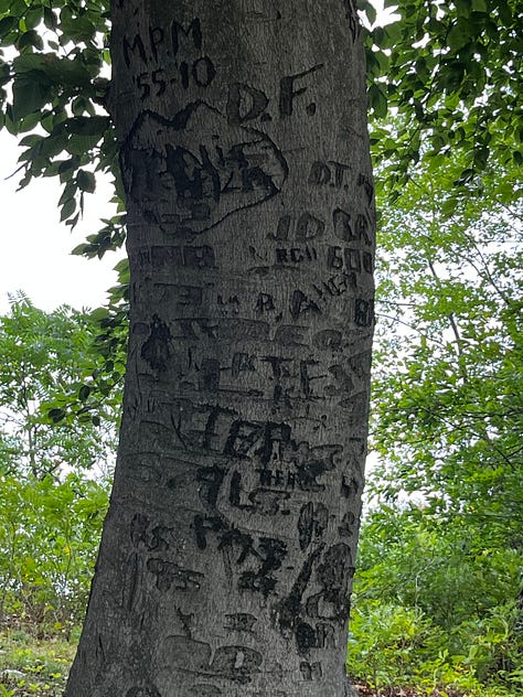 Images of Walt Whitman's final resting place: tomb, trees, plaque.