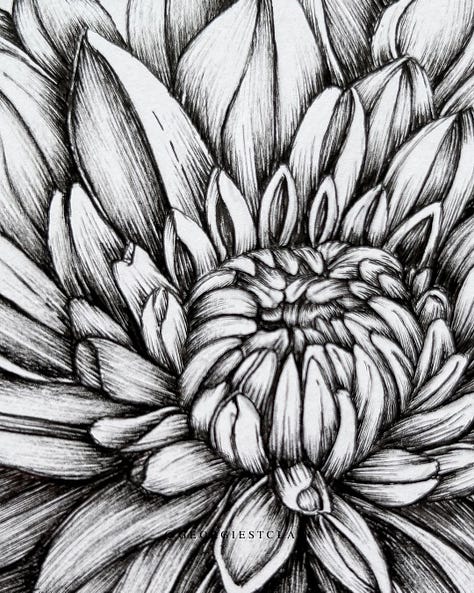 Dahlia fineliner drawing 