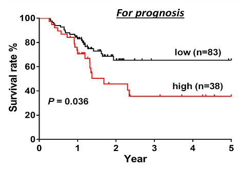 Biomarker REC8 for Diagnosis and Prognosis of Gastric Cancer