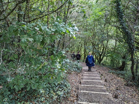 guided walk of the waterfalls of the BBNP with Wales Outdoors