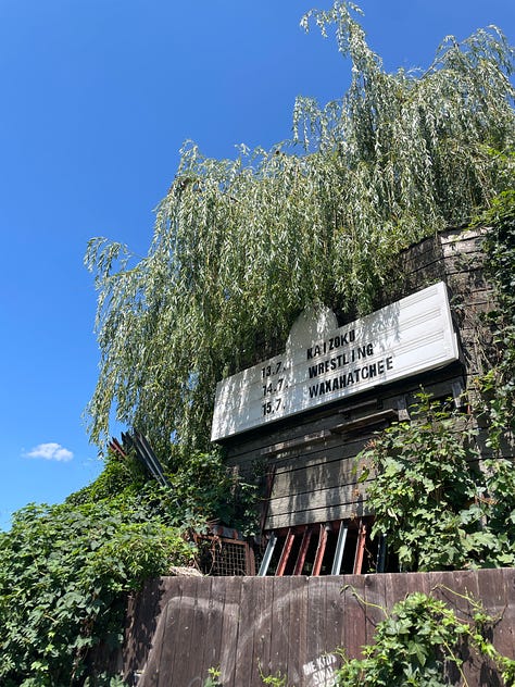 A marquee surrounded by tree branches in Germany; Ellie and Clay horse around in Germany; a castle on a hill in Austria; a German language newspaper with a smiling, injured Trump on the front page; a storefront featuring pillows embroidered with fancily dressed cats; Cole and Clay retrieve a soccer ball from a construction ditch