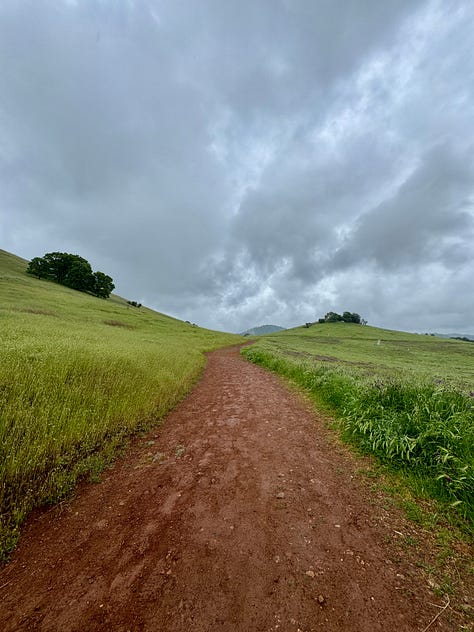 Rainy day hike
