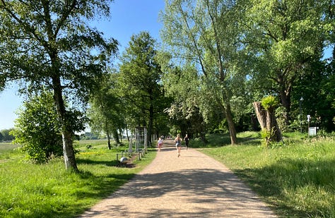 Beige gravelly paths on all sides of the park