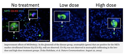 New Compound Shows Great Potential for Patients with Neutrophil-Associated Inflammation